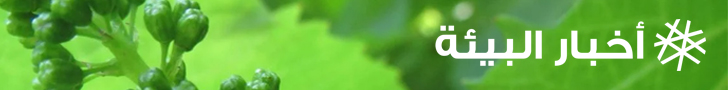 spot_img