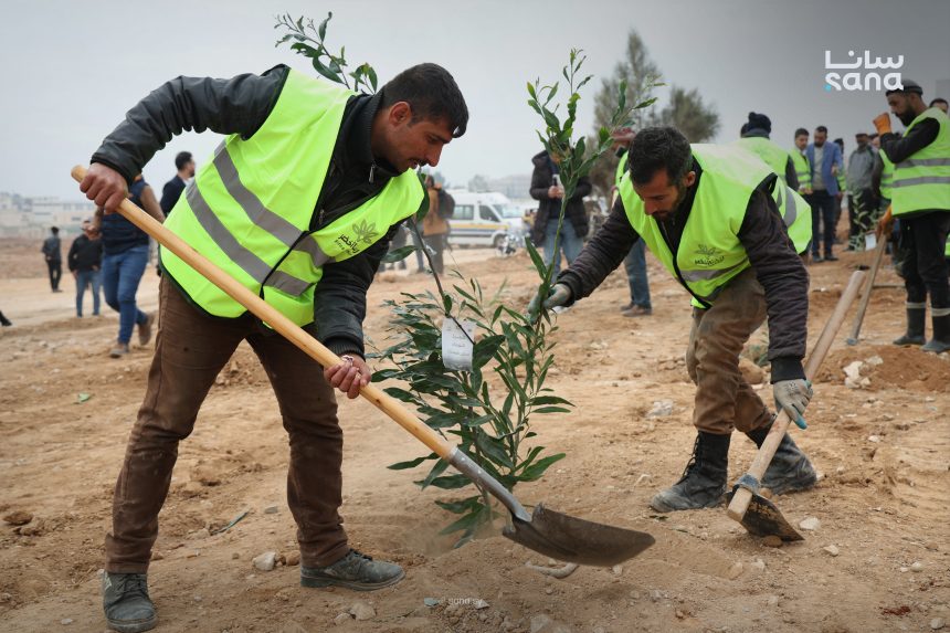 انطلاق حملة “ريفنا أخضر” لزراعة نصف مليون غرسة في حرستا بريف دمشق
